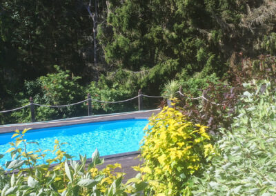 The pool in the greenery.