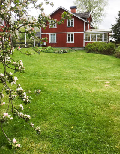 The large child friendly garden