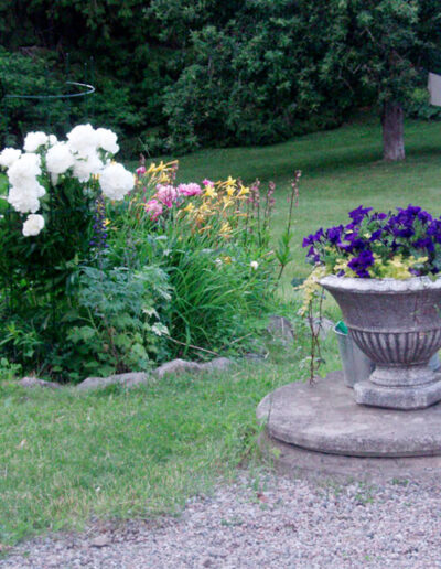 Flowers in the relaxing garden