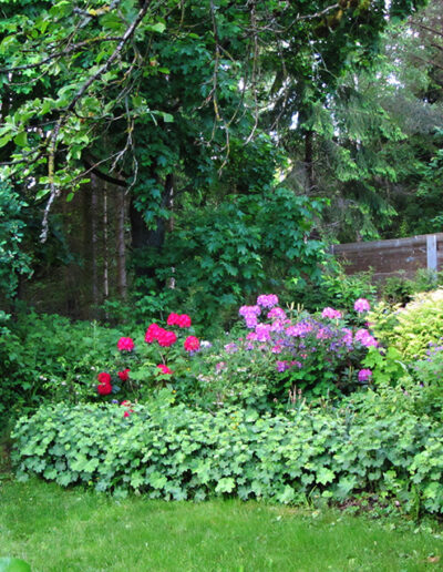 Trädgården med blomplanteringar.