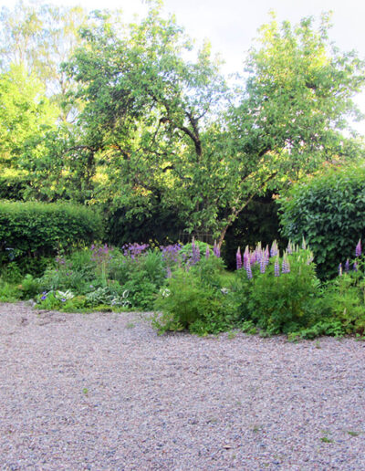 The child friendly garden with apple trees and playhouse.