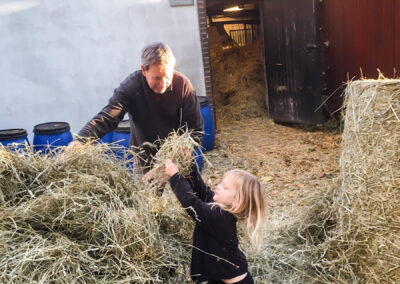 Helping out in the horse stable.
